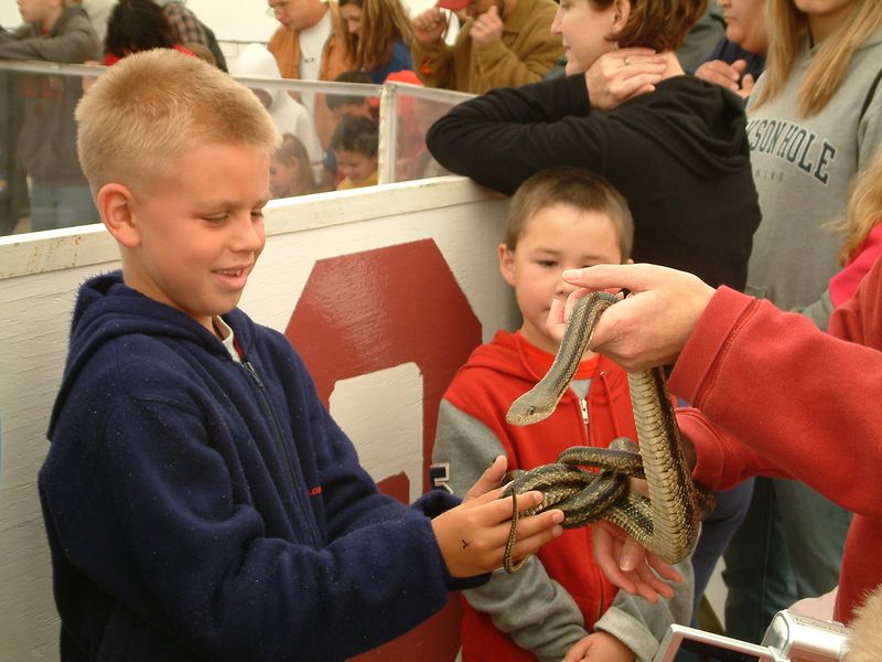 Okeene Rattlesnake RoundUp Oklahoma's Official Travel